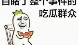 吃瓜群众在七零 吃料,吃瓜群众的吃料生活画卷